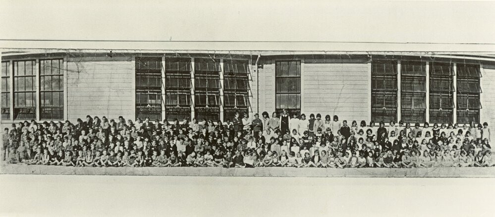 Free milk at Randwick School 