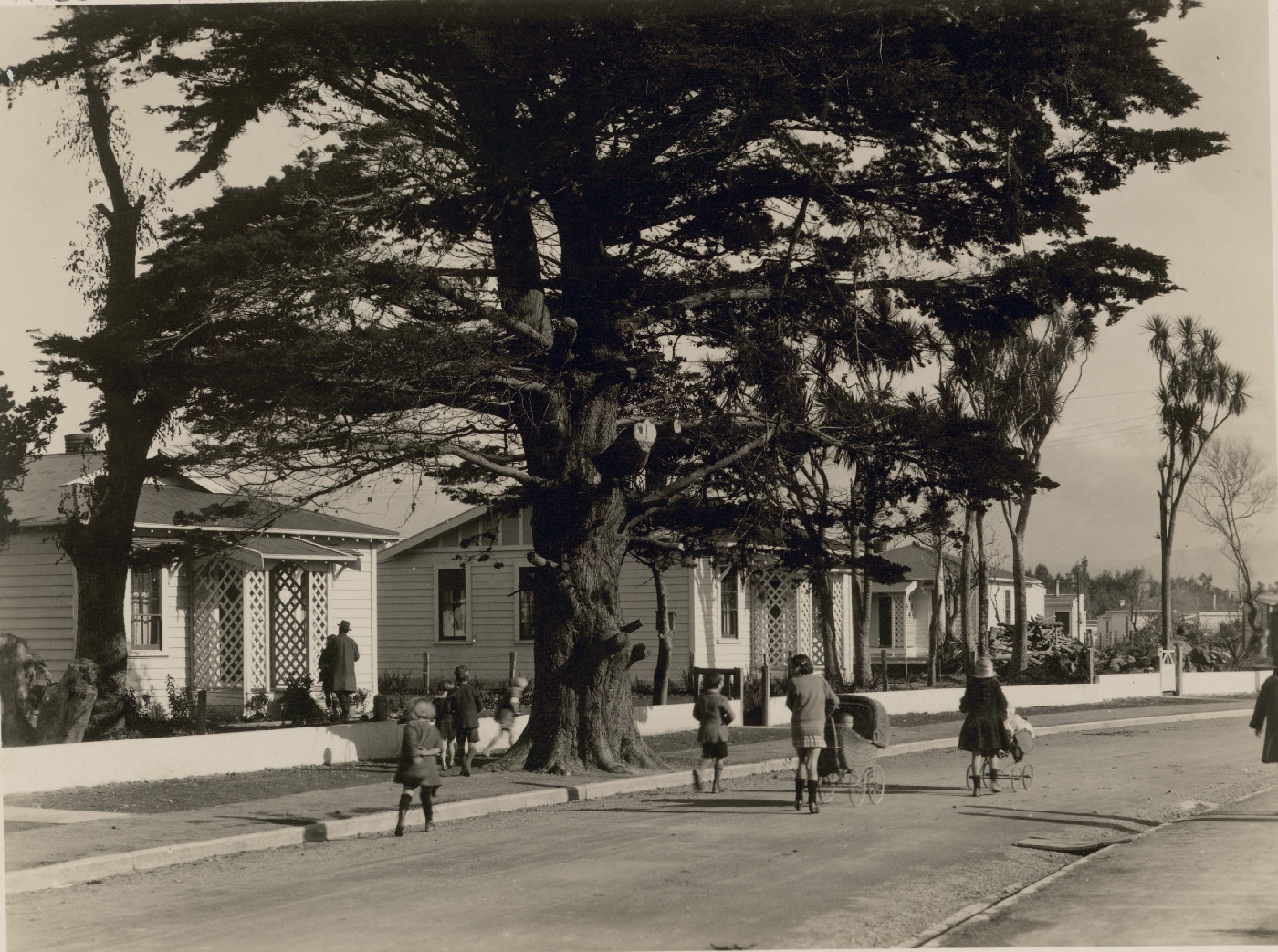 The Origins of Moera