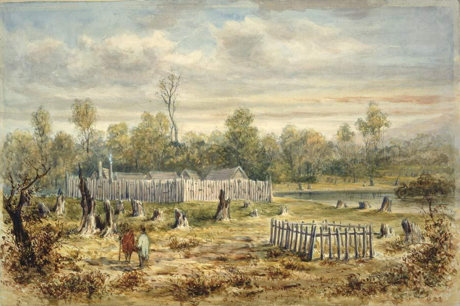 The Story of Boulcott's Farm 