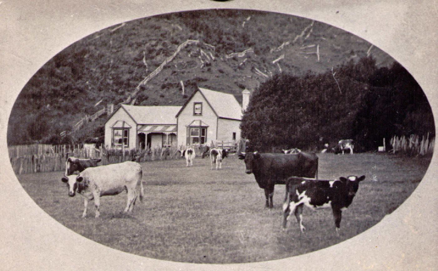 Stokes Valley History Collection 
