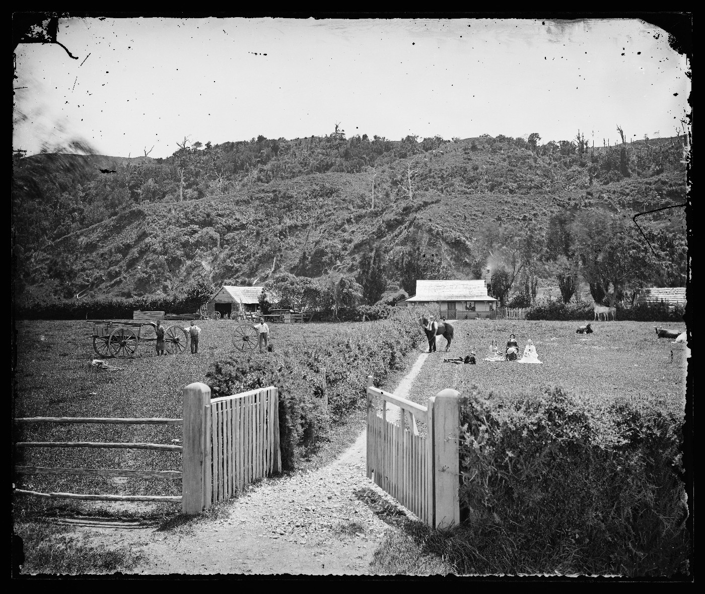 Collett's Farm, Petone, 1874, Petone, by James Bragge. Purchased 1955. Te Papa (D.000029)